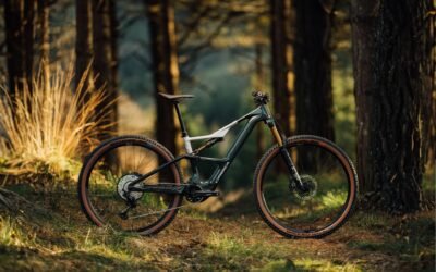 Victoria Cycling: Especialista en Bicicletas Eléctricas