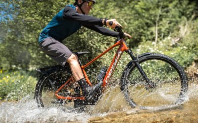 Tienda de bicicletas eléctricas en El Ejido, Almería